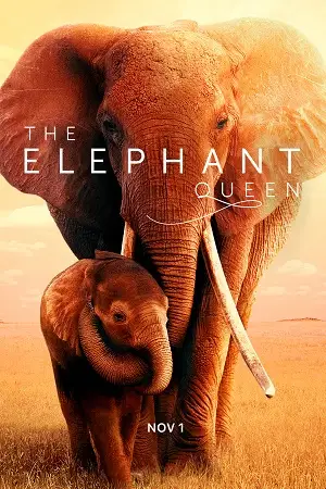 Download The Elephant Queen (2019) WEB DL Dual Audio {Hindi English} 480p [320MB] | 720p [900MB] | 1080p
